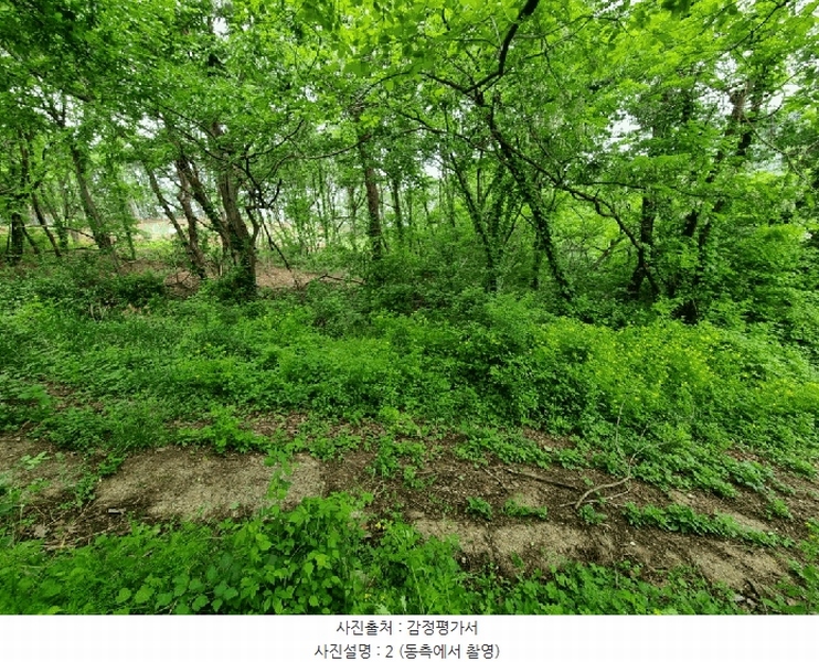2025타경906 울산광역시 울주군 상북면 지내리 산81-2 임야 경매 이미지