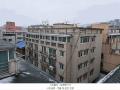 2025타경50366 서울특별시 은평구 역말로4길 11-13, 리치캐슬 5층 502호 다세대(빌라) 경매 이미지