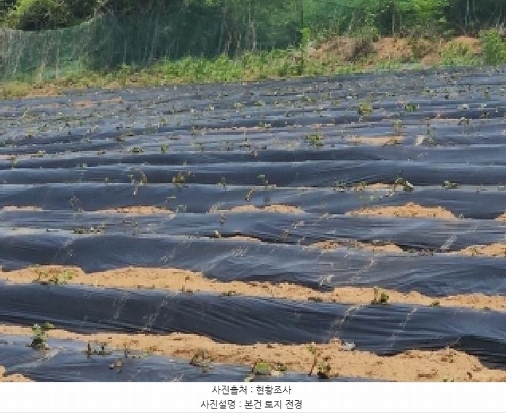 2025타경509238 인천광역시 중구 을왕동 787-2 과수원 경매 이미지