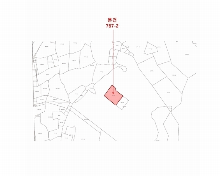 2025타경509238 인천광역시 중구 을왕동 787-2 과수원 경매 이미지