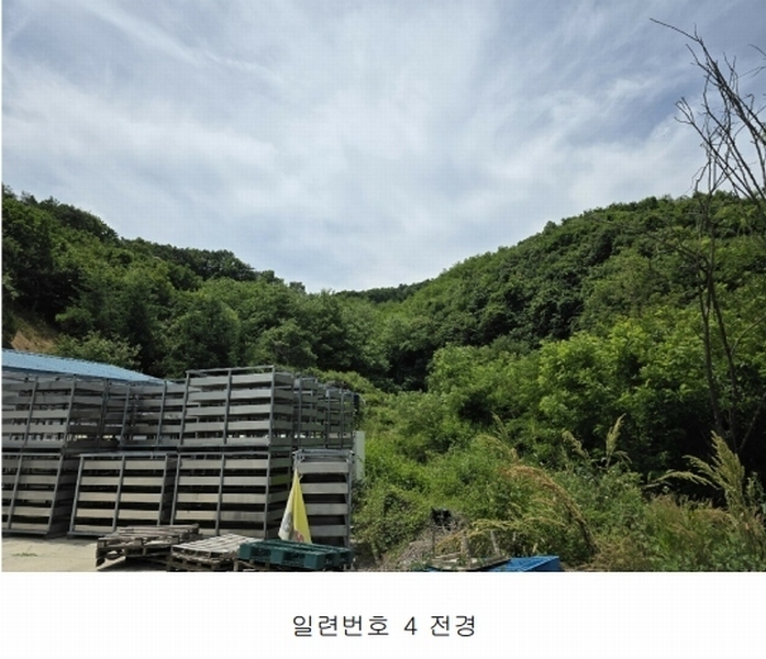 2025타경51199 충청북도 괴산군 소수면 고마리 산48-4 임야 경매 이미지