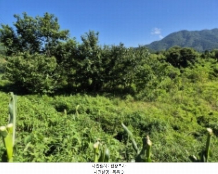 2024타경3482 경상남도 고성군 거류면 신용리 1457 농지 경매 이미지