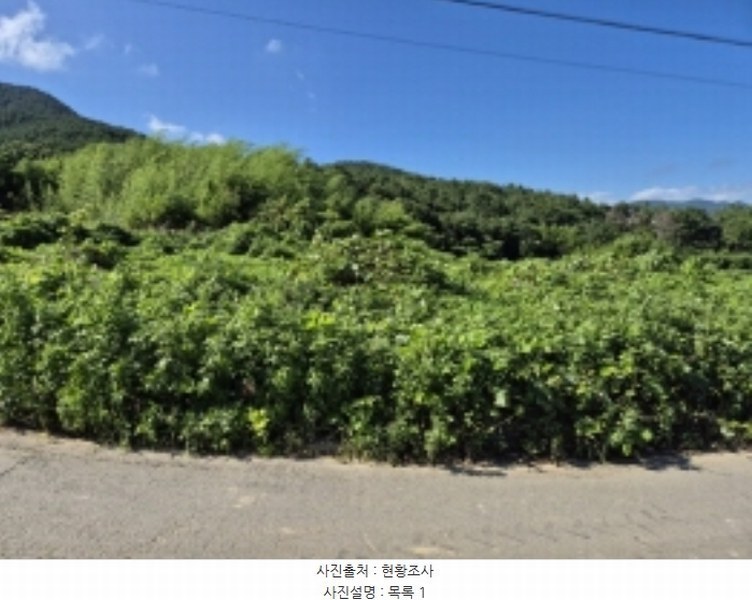 2024타경3482 경상남도 고성군 거류면 신용리 1457 농지 경매 이미지