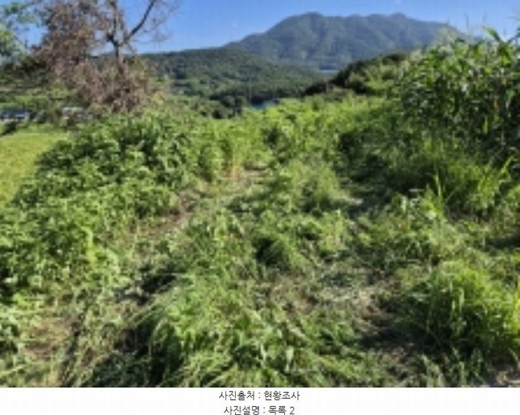 2024타경3482 경상남도 고성군 거류면 신용리 1457 농지 경매 이미지