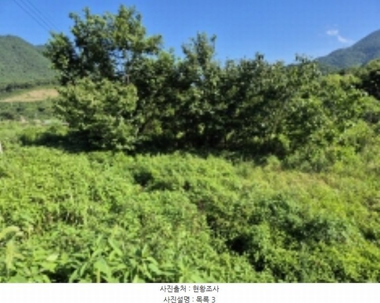 2024타경3482 경상남도 고성군 거류면 신용리 1457 농지 경매 이미지