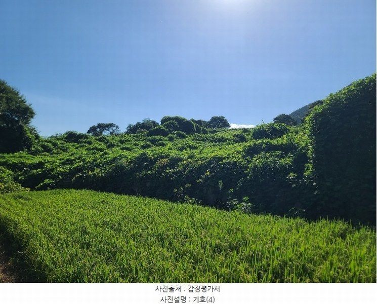 2024타경3482 경상남도 고성군 거류면 신용리 1457 농지 경매 이미지