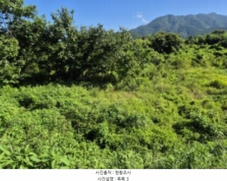 2024타경3482 경상남도 고성군 거류면 신용리 1457 농지 경매 이미지