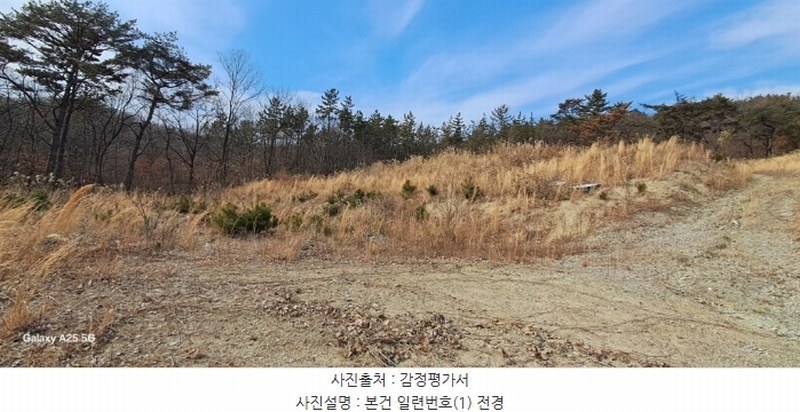 2024타경10091 울산광역시 울주군 온양읍 발리 806-1 임야 경매 이미지