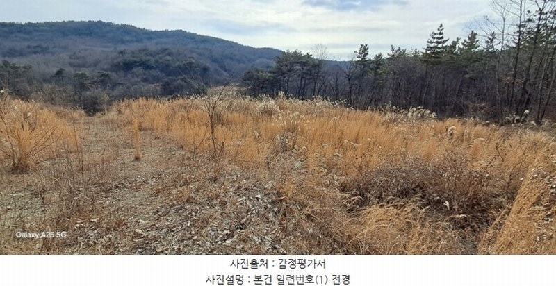 2024타경10091 울산광역시 울주군 온양읍 발리 806-1 임야 경매 이미지