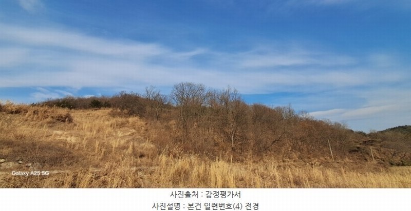 2024타경10091 울산광역시 울주군 온양읍 발리 806-1 임야 경매 이미지