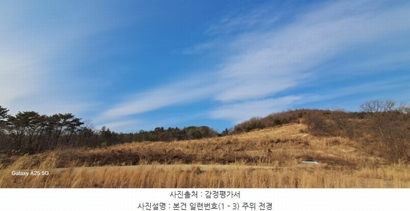 2024타경10091 울산광역시 울주군 온양읍 발리 806-1 임야 경매 이미지