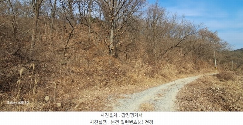 2024타경10091 울산광역시 울주군 온양읍 발리 806-1 임야 경매 이미지