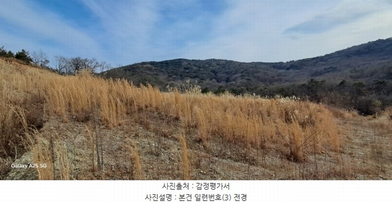 2024타경10091 울산광역시 울주군 온양읍 발리 806-1 임야 경매 이미지