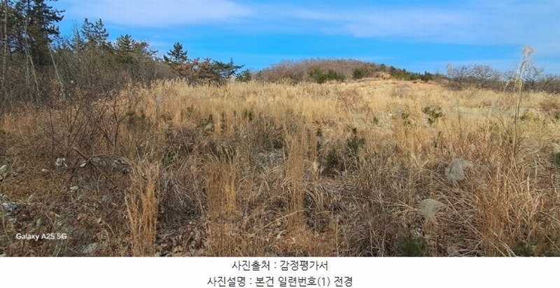 2024타경10091 울산광역시 울주군 온양읍 발리 806-1 임야 경매 이미지