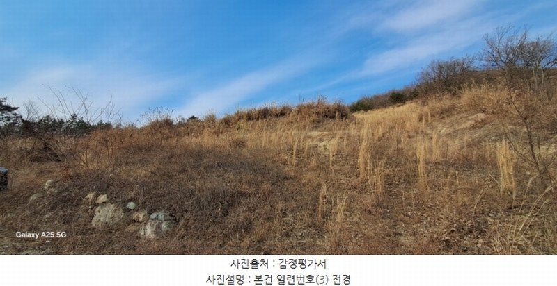 2024타경10091 울산광역시 울주군 온양읍 발리 806-1 임야 경매 이미지