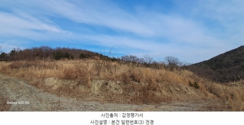 2024타경10091 울산광역시 울주군 온양읍 발리 806-1 임야 경매 이미지