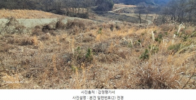 2024타경10091 울산광역시 울주군 온양읍 발리 806-1 임야 경매 이미지