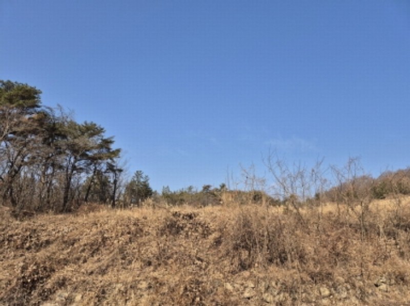 2024타경10091 울산광역시 울주군 온양읍 발리 806-1 임야 경매 이미지