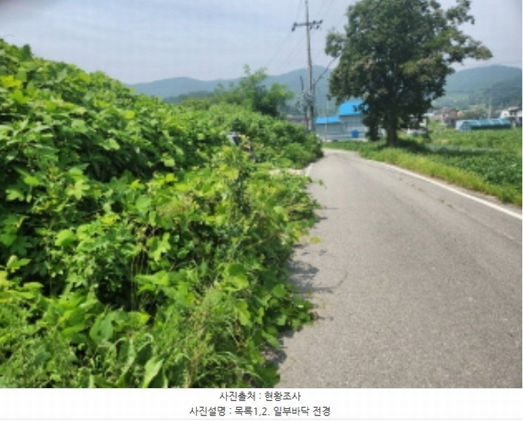 2024타경10480 인천광역시 강화군 화도면 내리 산7-1 임야 경매 이미지