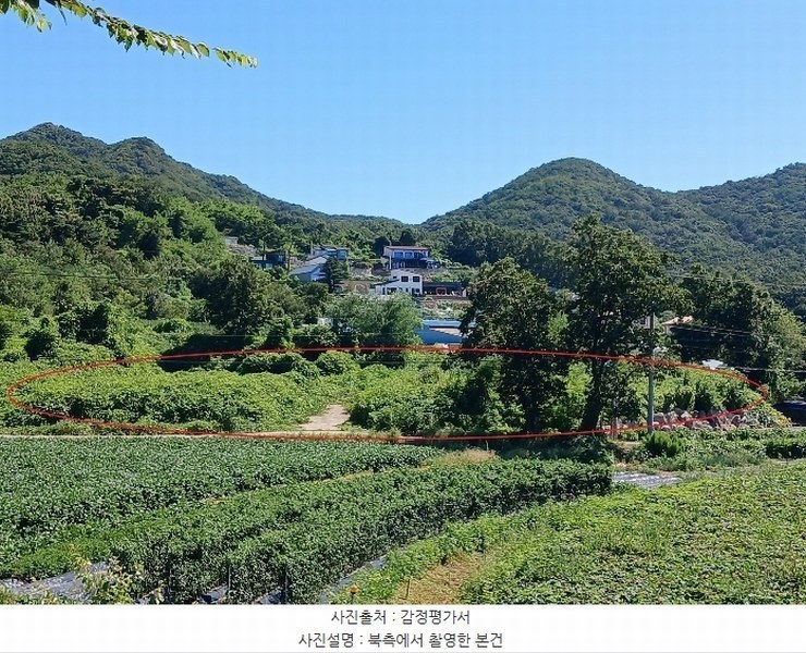 2024타경10480 인천광역시 강화군 화도면 내리 산7-1 임야 경매 이미지