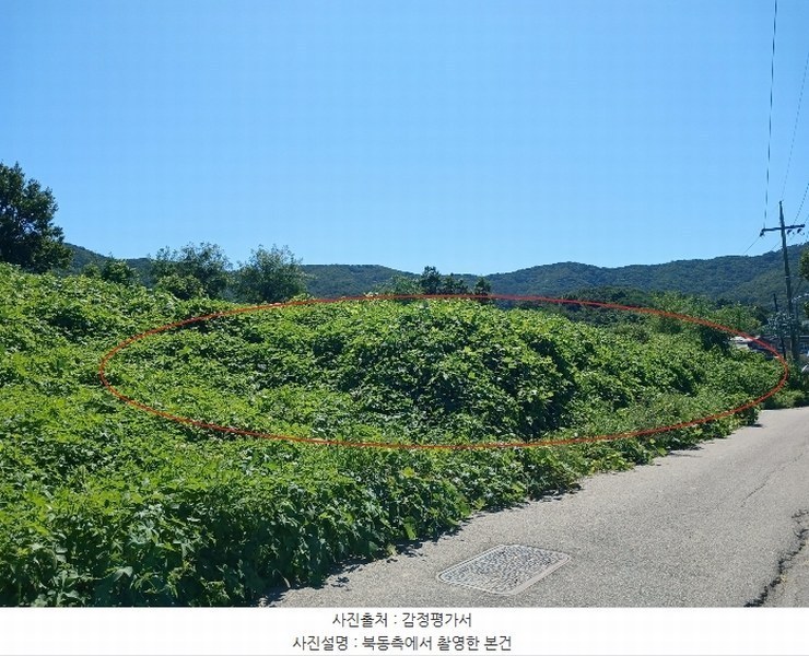 2024타경10480 인천광역시 강화군 화도면 내리 산7-1 임야 경매 이미지