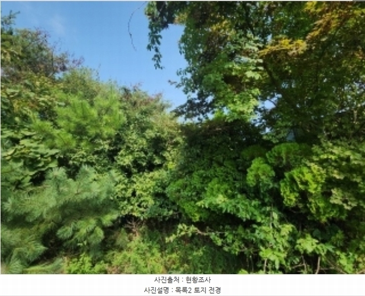 2024타경11162 인천광역시 중구 무의동 359 숙박시설 경매 이미지