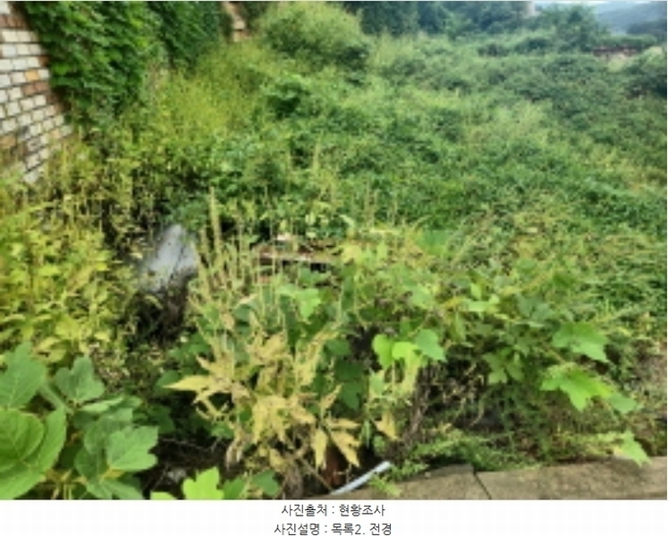2024타경11797 인천광역시 강화군 강화읍 국화리 793-34 임야 경매 이미지