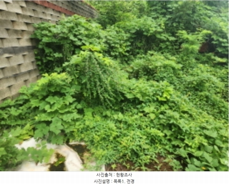2024타경11797 인천광역시 강화군 강화읍 국화리 793-34 임야 경매 이미지