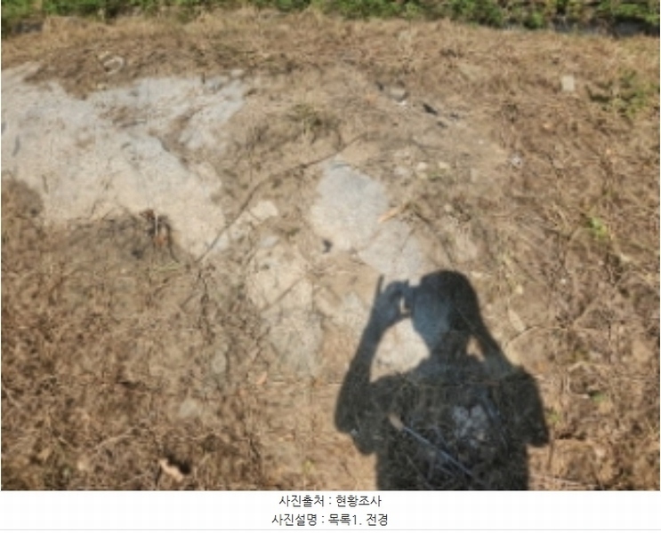 2024타경12738 인천광역시 강화군 화도면 문산리 850 임야 경매 이미지