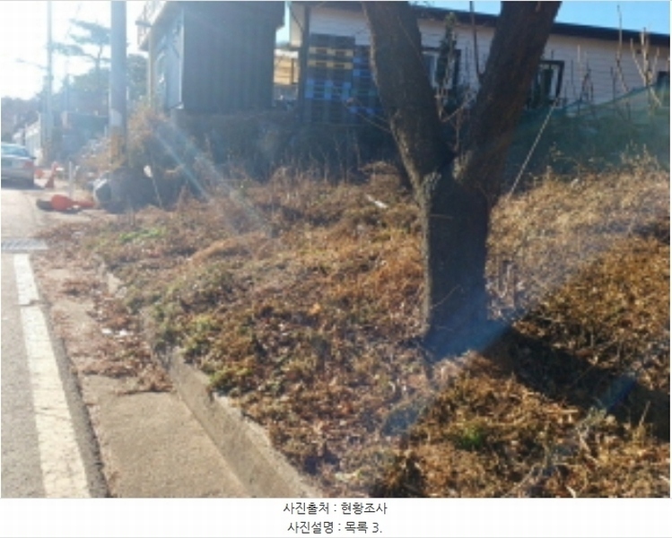2024타경16297 인천광역시 옹진군 영흥면 내리 1542-14 임야 경매 이미지