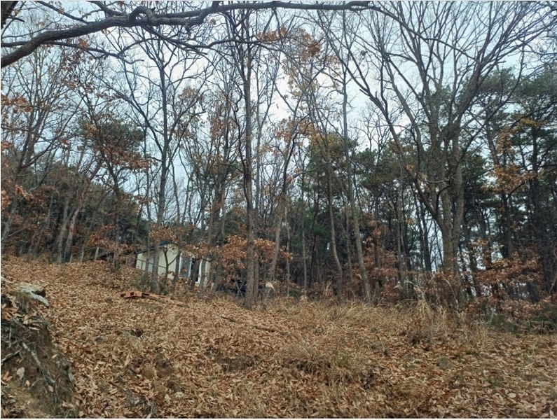2024타경566334 인천광역시 강화군 내가면 오상리 327-16 임야 경매 이미지