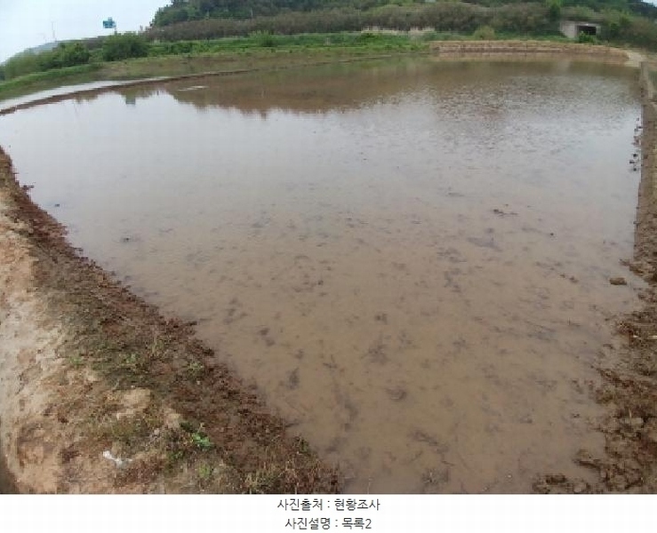 2025타경51305 충청남도 당진시 석문면 삼봉리 698-3 농지 경매 이미지