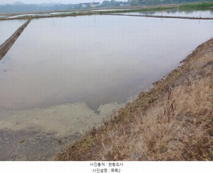 2025타경51305 충청남도 당진시 석문면 삼봉리 698-3 농지 경매 이미지