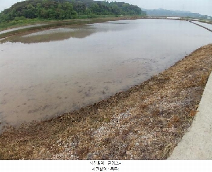 2025타경51305 충청남도 당진시 석문면 삼봉리 698-3 농지 경매 이미지
