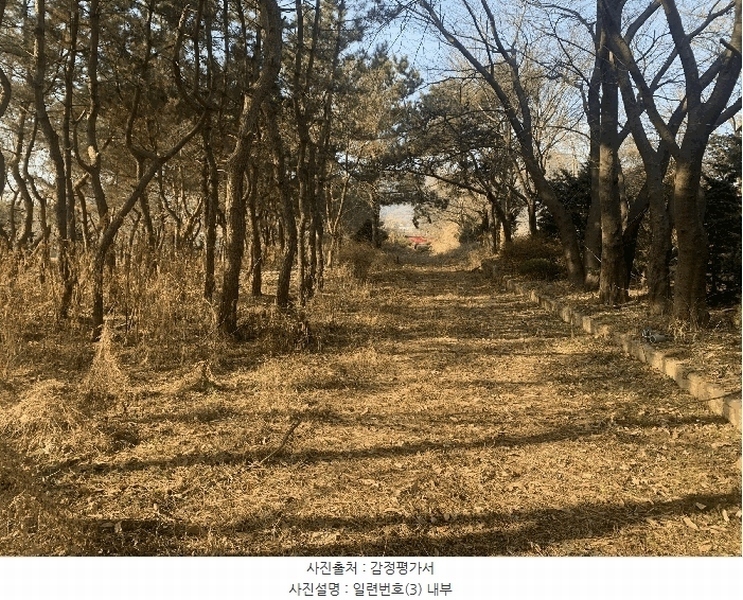 2024타경579842 인천광역시 강화군 불은면 삼성리 438 농지 경매 이미지