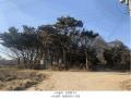 2024타경579842 인천광역시 강화군 불은면 삼성리 438 농지 경매 이미지