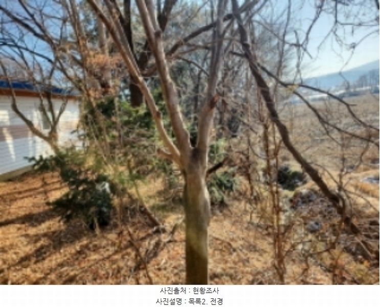 2024타경579842 인천광역시 강화군 불은면 삼성리 438 농지 경매 이미지