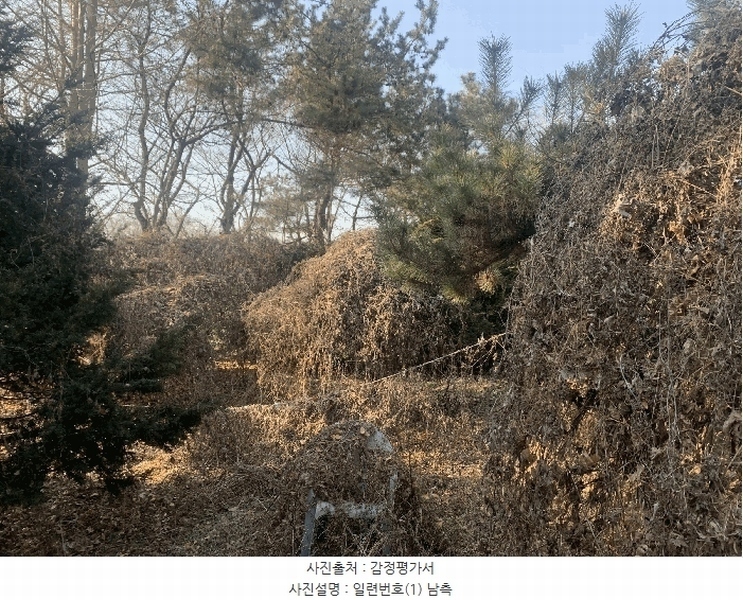 2024타경579842 인천광역시 강화군 불은면 삼성리 438 농지 경매 이미지