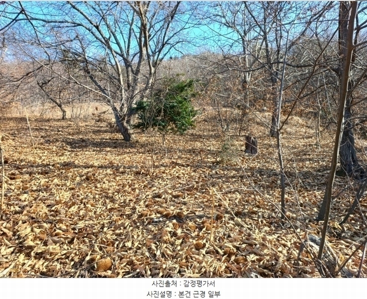 2024타경584608 인천광역시 강화군 길상면 선두리 산69-2 임야 경매 이미지