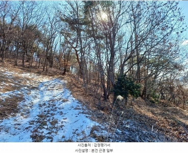 2024타경584608 인천광역시 강화군 길상면 선두리 산69-2 임야 경매 이미지