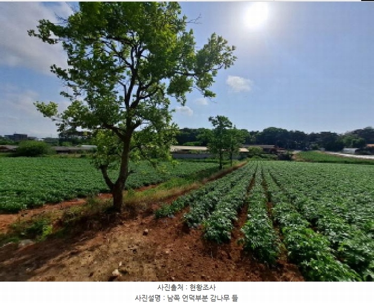 2025타경51330 충청남도 당진시 송악읍 부곡리 362-1 농지 경매 이미지
