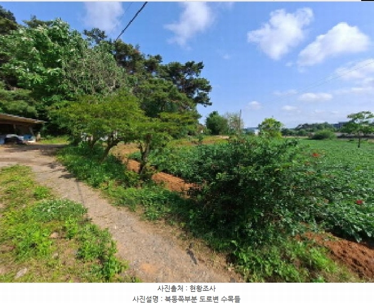 2025타경51330 충청남도 당진시 송악읍 부곡리 362-1 농지 경매 이미지