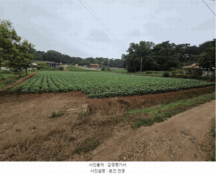 2025타경51330 충청남도 당진시 송악읍 부곡리 362-1 농지 경매 이미지