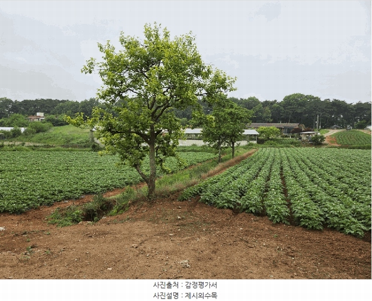 2025타경51330 충청남도 당진시 송악읍 부곡리 362-1 농지 경매 이미지