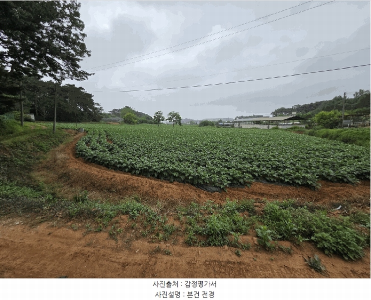 2025타경51330 충청남도 당진시 송악읍 부곡리 362-1 농지 경매 이미지