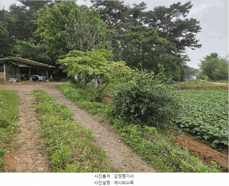 2025타경51330 충청남도 당진시 송악읍 부곡리 362-1 농지 경매 이미지