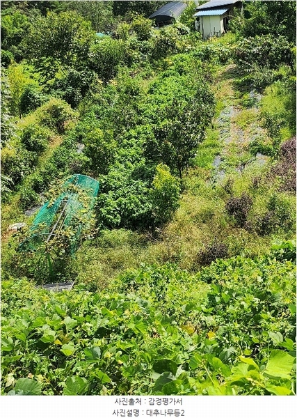 2024타경7064 울산광역시 울주군 범서읍 서사리 859-2 농지 경매 이미지