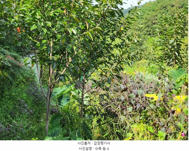 2024타경7064 울산광역시 울주군 범서읍 서사리 859-2 농지 경매 이미지