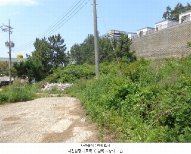 2025타경51382 충청남도 태안군 소원면 모항리 466-15 농지 경매 이미지
