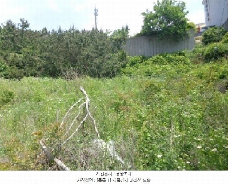 2025타경51382 충청남도 태안군 소원면 모항리 466-15 농지 경매 이미지